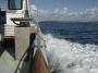 Tuncurry-PhilRoach 052